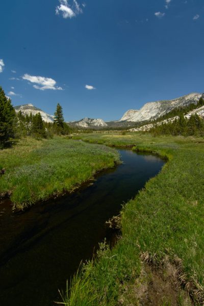 yosemite backcountry wilderness subalpine alpine meadow