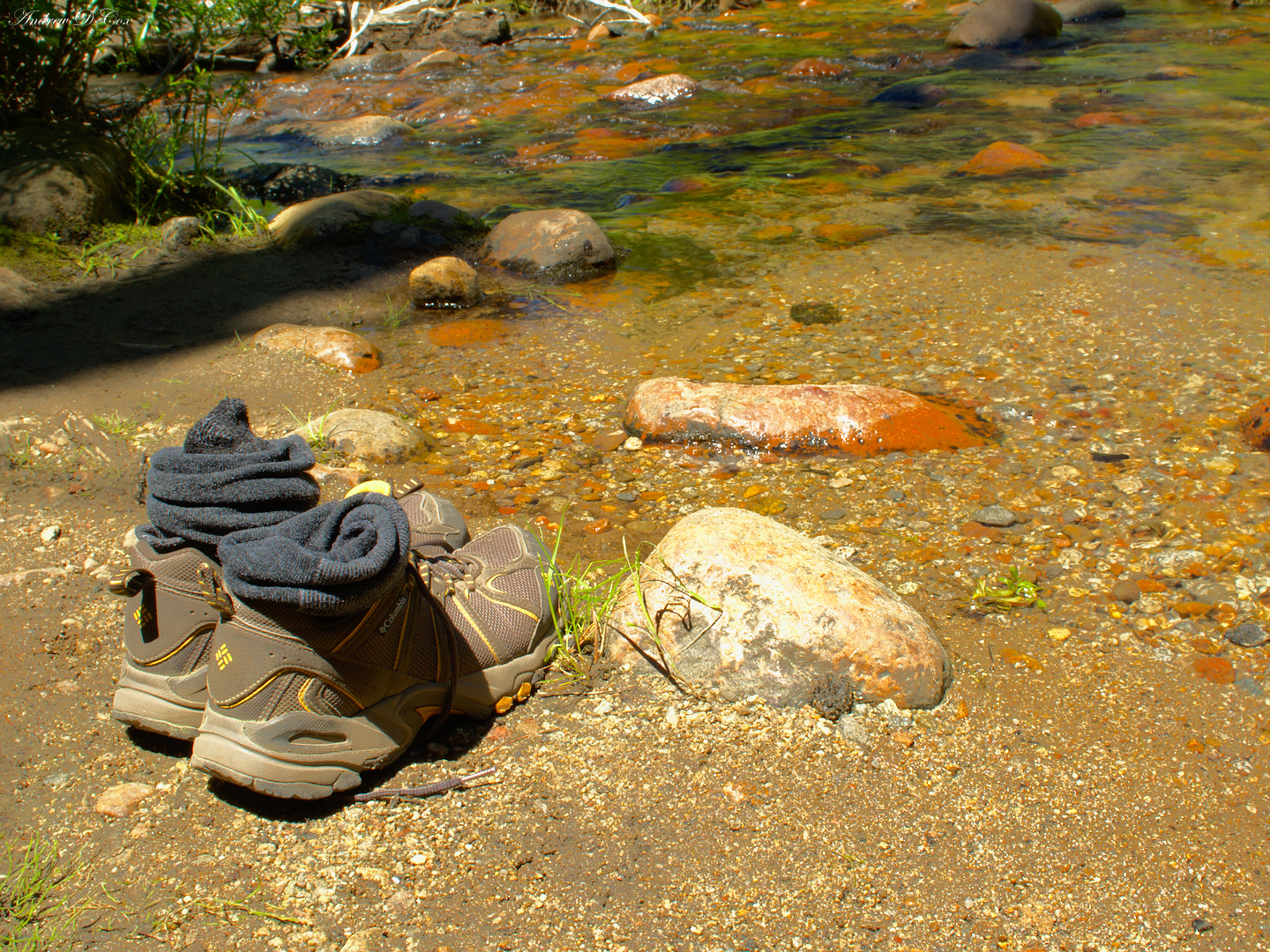 Yosemite Backpacking Loop Day 1 Backcountry Sights