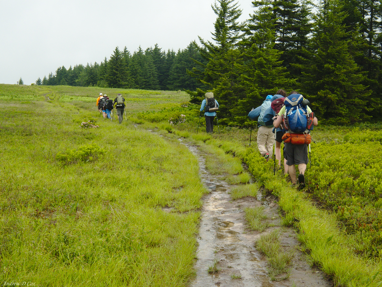 Dolly Sods Wilderness Loop - Group Backpacking 2