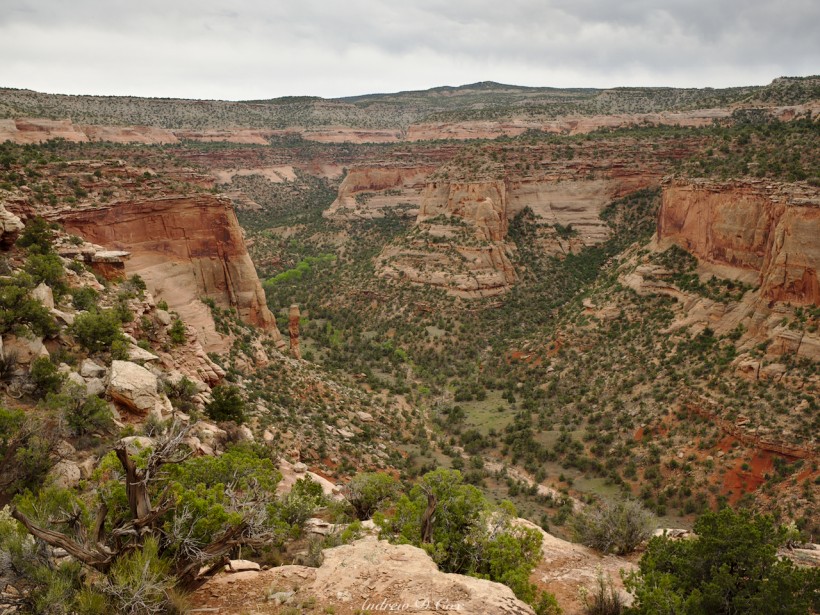 rattlesnake arches canyon