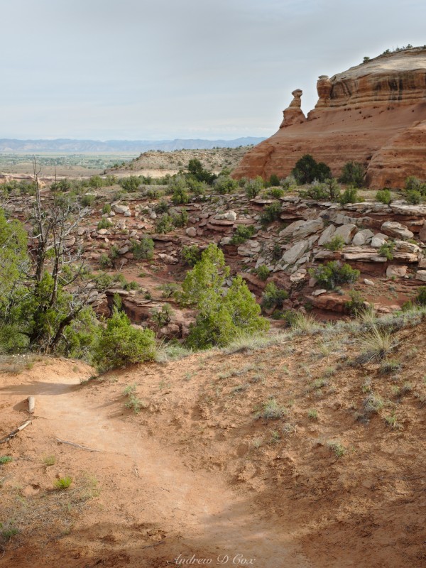 rattlesnake arches trail