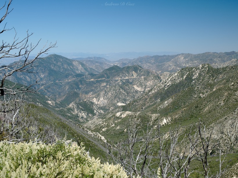 angeles national forest