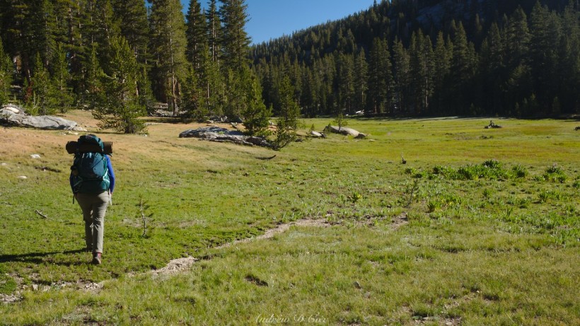 sierra high route meadow