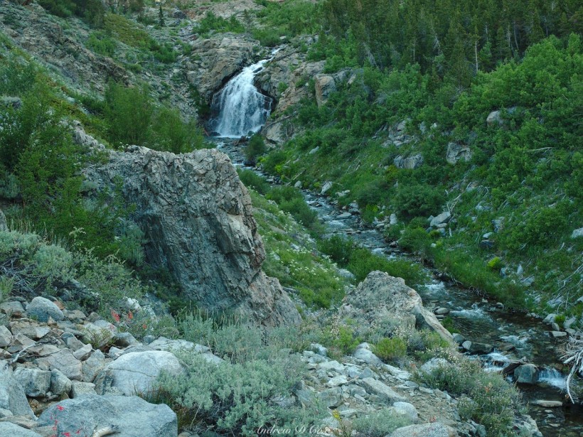woods creek cascade