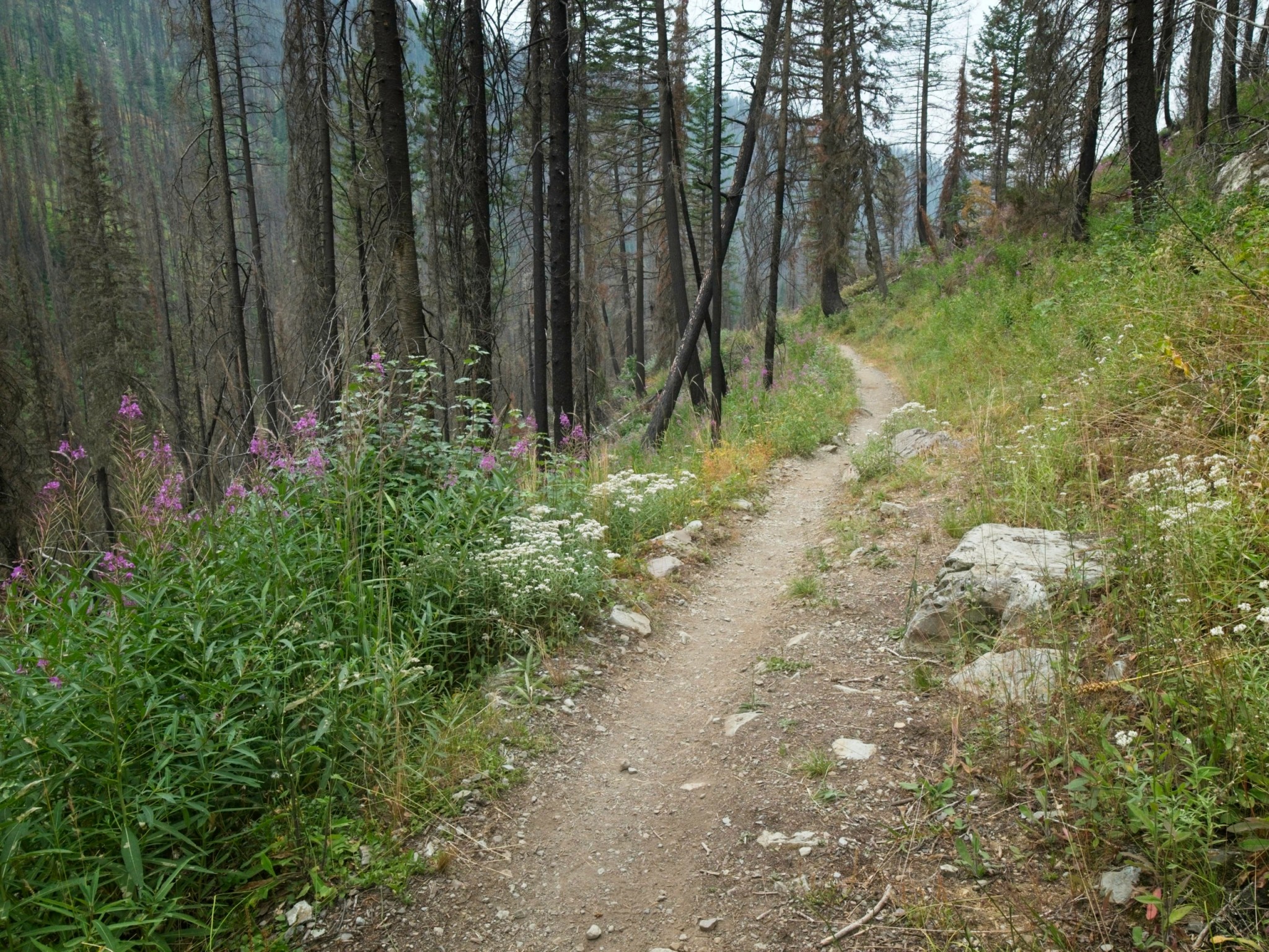 Glacier National Park Backpacking Part 2 Backcountry Sights