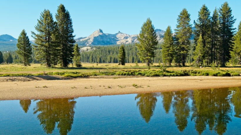 pacific crest trail tuolumne meadows