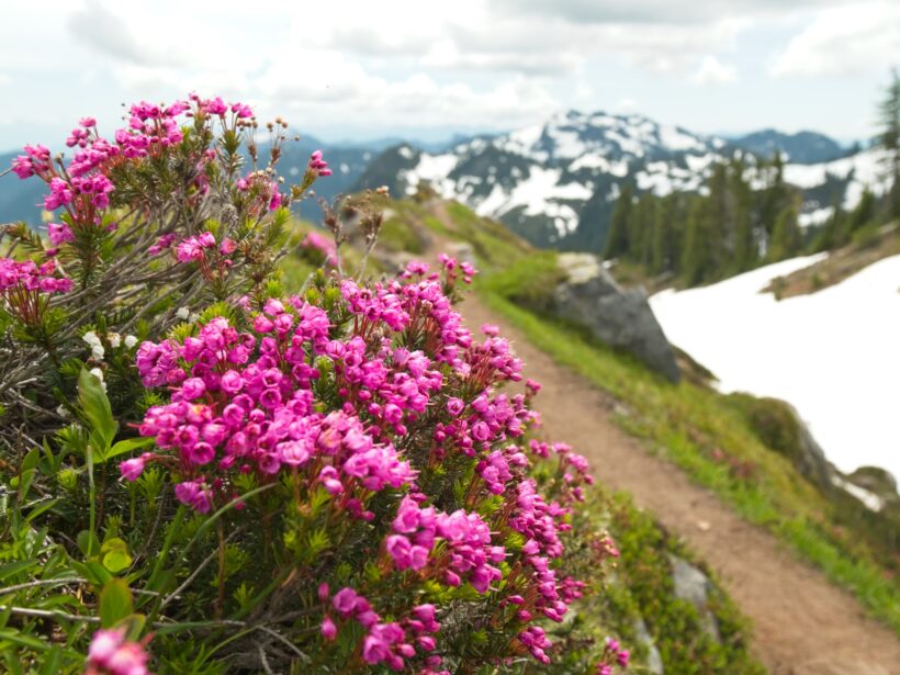 mount baker railroad grade