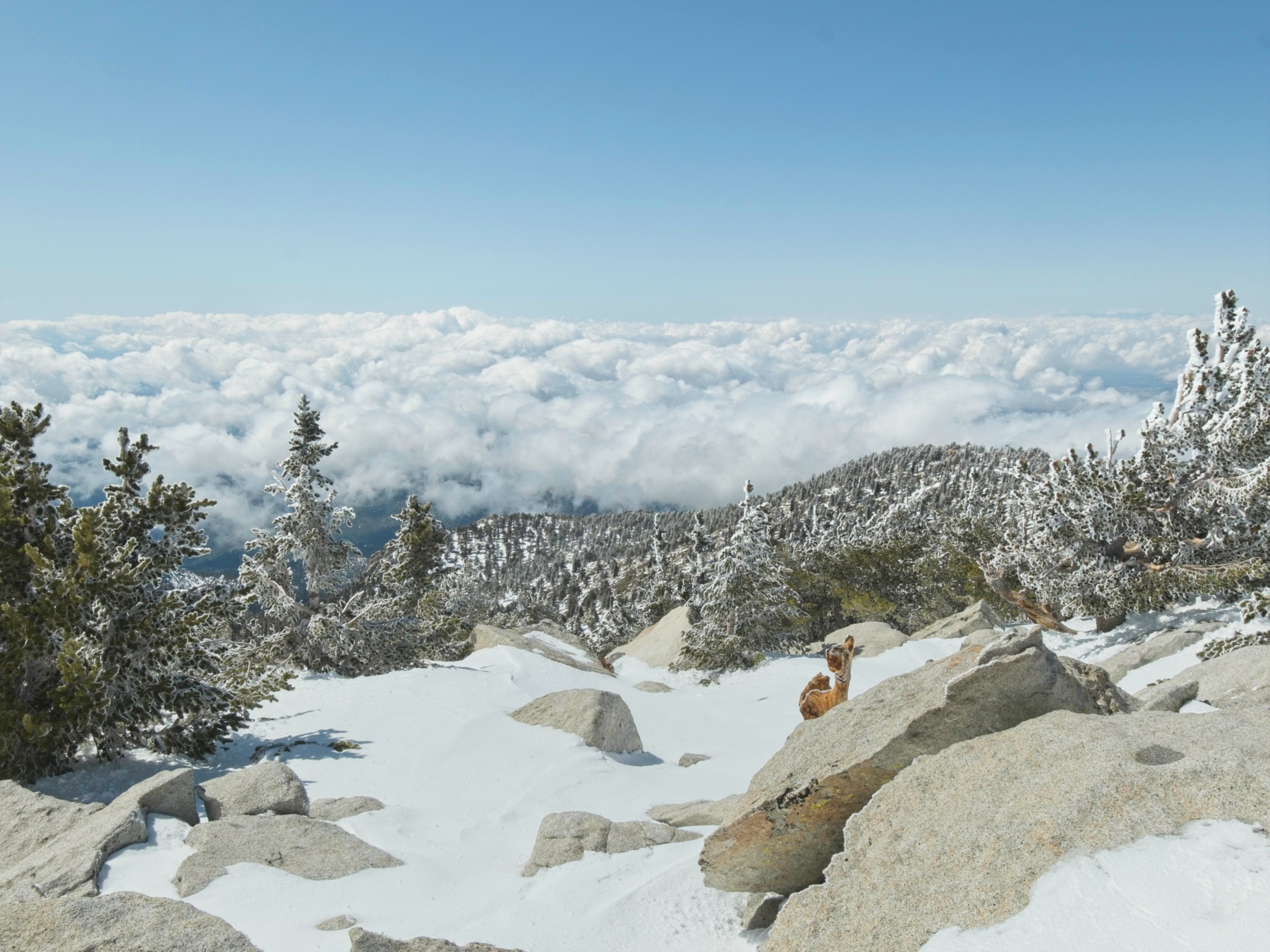 San Jacinto Winter Ascent Backcountry Sights