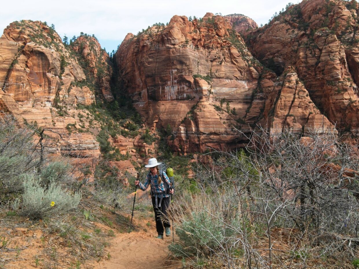 zion national park hop canyon trail