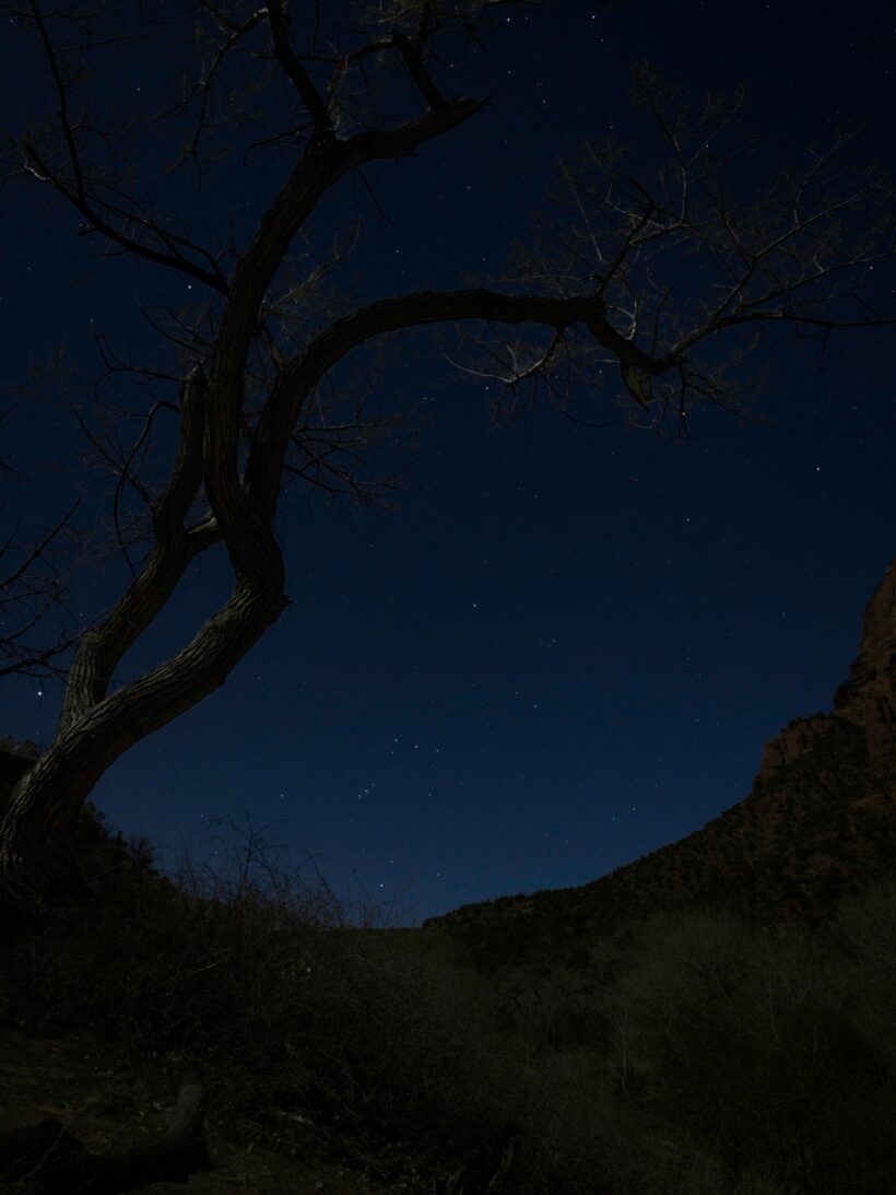 zion national park stars