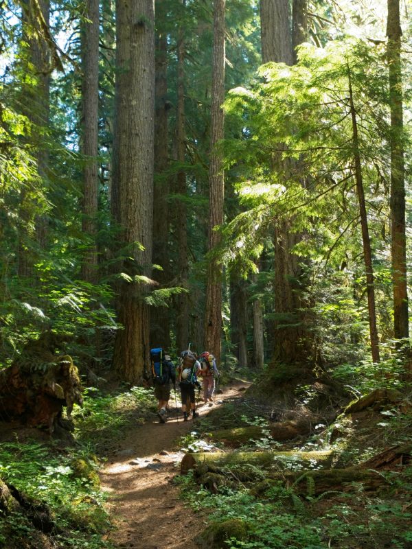 pamelia lake trail