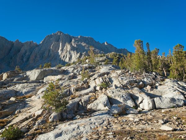 university peak