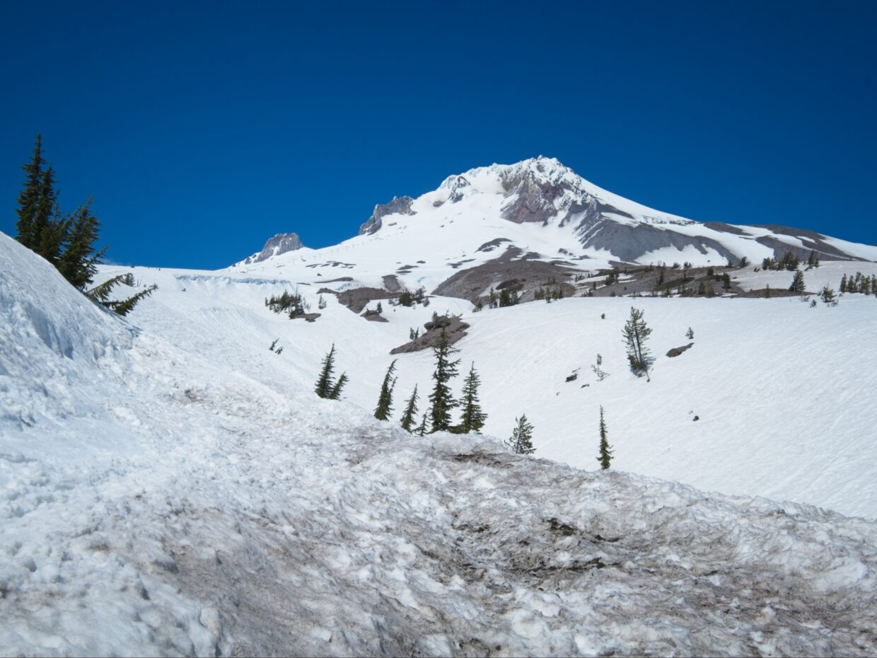 mount hood