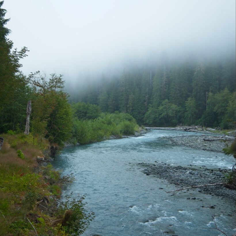 hoh river
