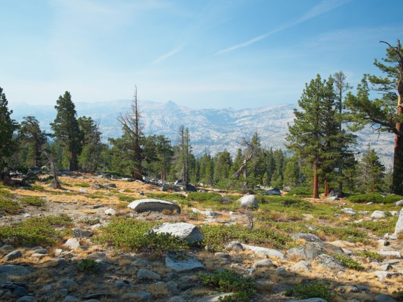 tahoe rim trail