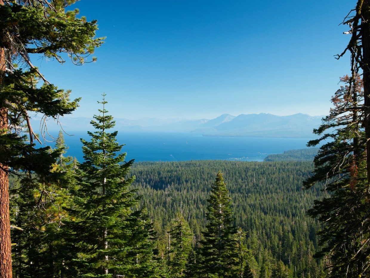 tahoe rim trail