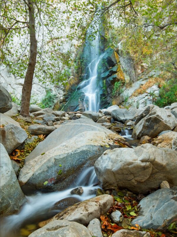 sturtevant falls