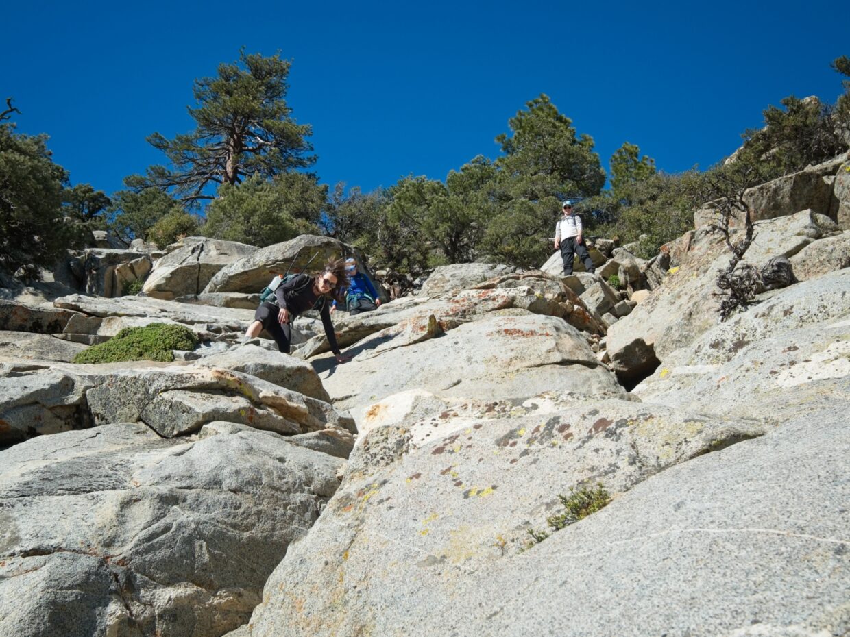 owens peak