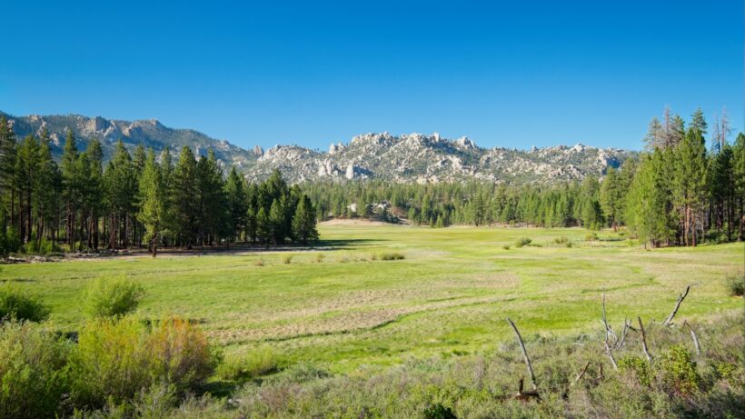 domeland wilderness