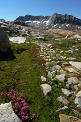 The trail climbs towards Red Peak Pass yosemite trail backpacking hiking wilderness red peak pass