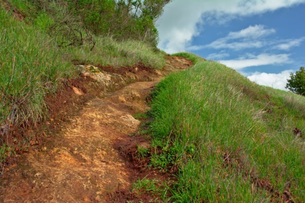 Thatcher's Ridge Trail climbs towards the peak of Sugarloaf Mountain sugarloaf mountain trail thatcher's ridge skyline wilderness