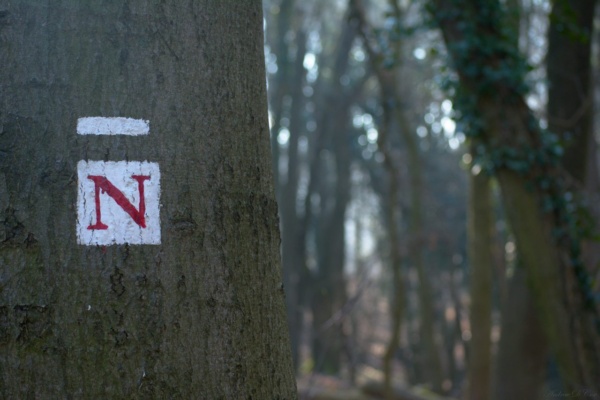 One of many trail blazes I followed on my hike trail blaze hiking
