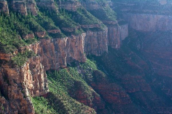The walls of the Grand Canyon; Bright Angel Trail is visible on the right side of the image grand canyon national park red stone bright angel trail