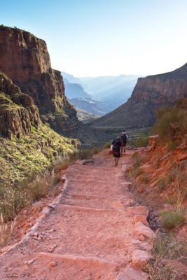 Fellow hikers make their way down the Bright Angel Trail early in the morning grand canyon national park hiking bright angel trail