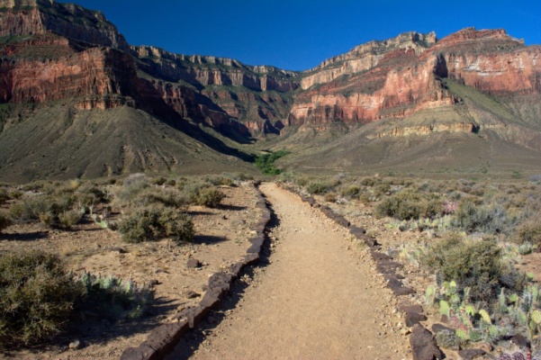 The trail from Plateau Point, looking back at the ascent I have to do next grand canyon national park bright angel trail hiking
