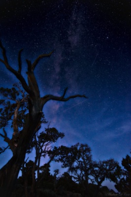 By this point, the Moon was beginning to rise and illuminated some of the trees and clouds. I still squeezed in a shot of the stars! milky way astrophotography grand canyon national park
