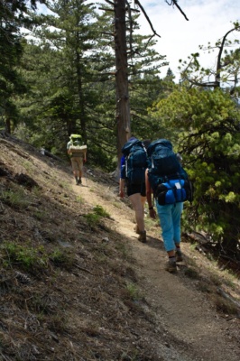 We make our way up the trail from Forsee Creek toward the San Bernardino Peak Trail junction mount san bernardino backpacking
