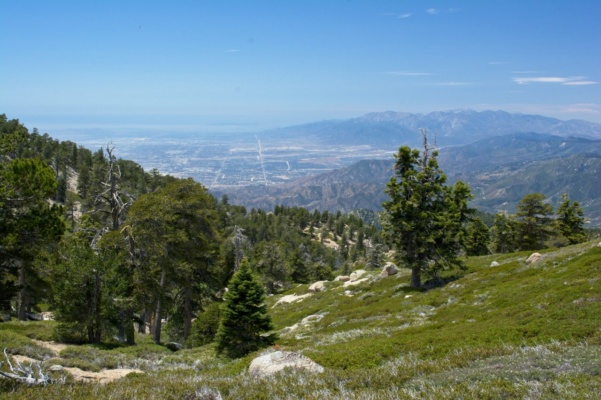The views from the trail continue to deliver! mount san bernardino trail views