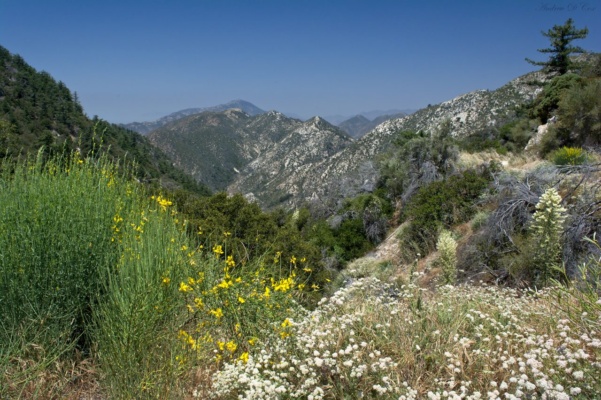 Angeles National Forest, near Inspiration Point angeles national forest LA desert