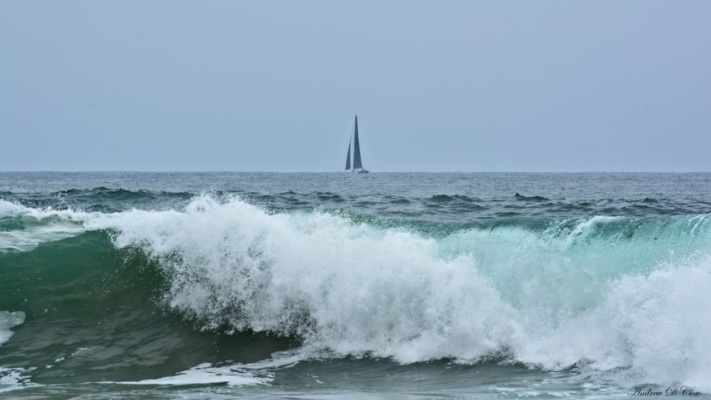 A sailboat in the distance at Crystal Cove State Park crystal cove beach ocean wave sailboat