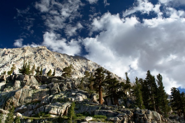 Pines, clouds, and granite cliffs in the Sierra Nevada Mountains sierra nevada mountains wilderness mt. whitney