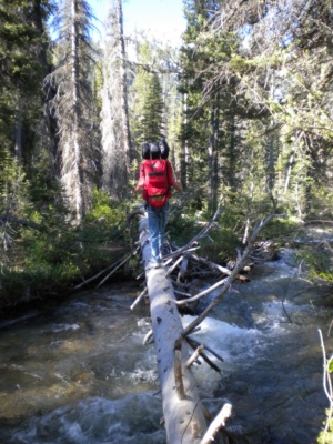 Rather than wade through the creek, we opt to cross via fallen tree sawtooth mountains wilderness backpacking stream crossing