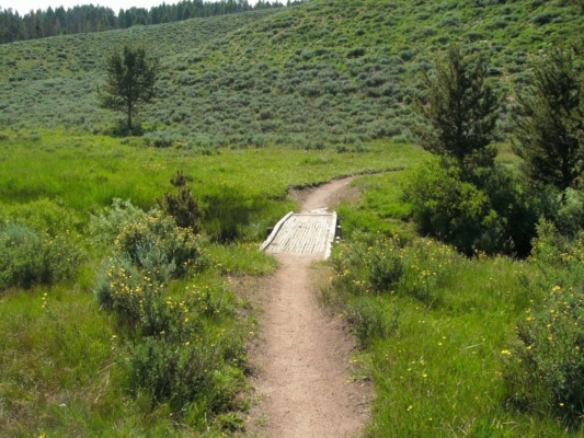 Bridge over William's Creek bridge williams creek trail hiking mountain biking