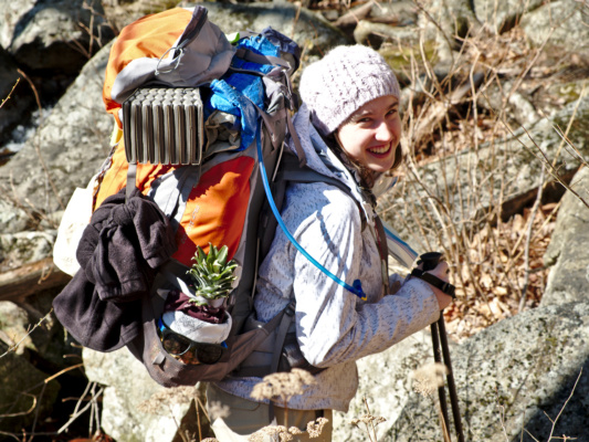 Cedar, with Patrick Wilson the pineapple along for the ride backpacking shenandoah national park