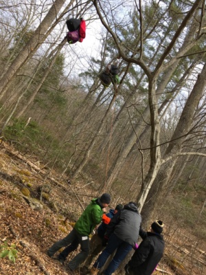 Our bear bags are still heavy and full of food, so hoisting them up into the air is a group effort. Photo credit: Cedar shenandoah national park bear bag camping