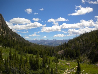 Looking down a long meadow toward the Salmon River valley and the White Cloud Mountains in the distance sawtooth mountain wilderness view