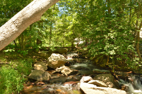 Billy Goat Trail crosses a small brook great falls hiking billy goat trail creek