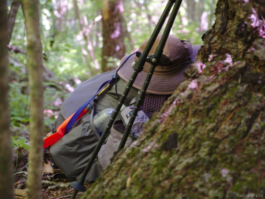 A few of my things chilling behind a tree while I filter water. backpacking gear