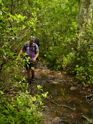 Kyle skirts a large, muddy pool in an attempt to minimize foot wetness dolly sods wilderness backpacking
