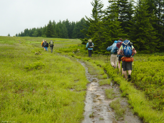 Our group trekking through the soggy meadow dolly sods wilderness backpacking