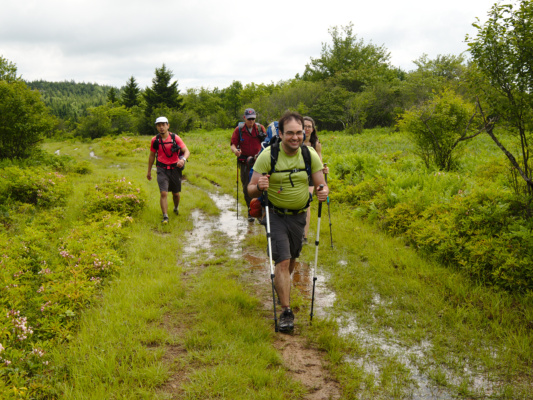 James, Peter, Karl, and Jen trek along the trail dolly sods wilderness backpacking