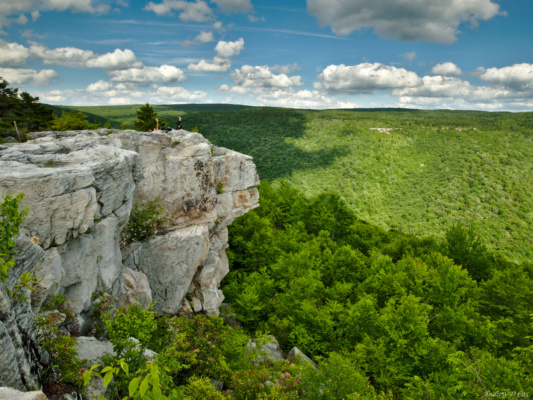 A rock formation that is somewhat reminiscent of a lion's head, although I think one could also make the case for a llama's head... dolly sods wilderness lions head