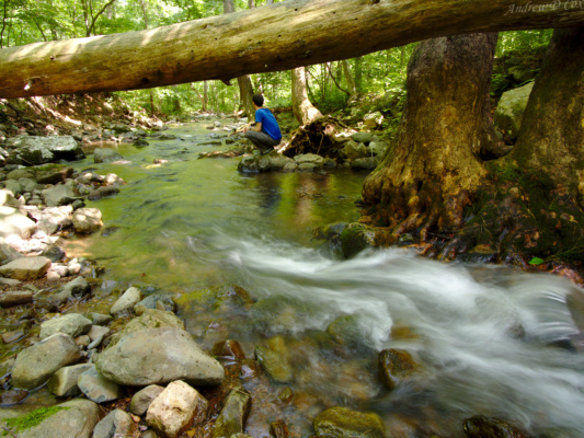 The charming Piney River piney river shandandoah national park