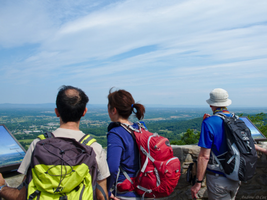 The view from the top of the Washington Monument washington monument view