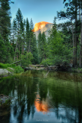 The last rays of sunlight illuminate Half Dome, which is reflected in a tributary of the Merced River half dome yosemite reflection