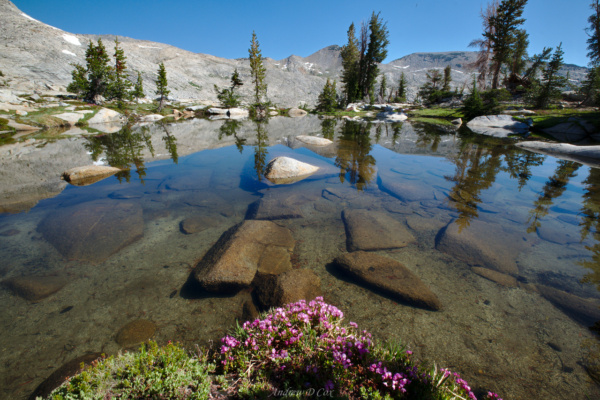 One of many small pools of crystal clear water isberg lakes flower boquet